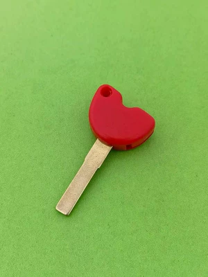 GTS300, Universal Motorcycle Key