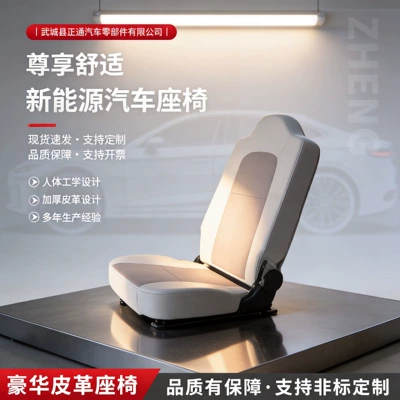 Car Seat S-Type Seat Cover, Seats and accessories