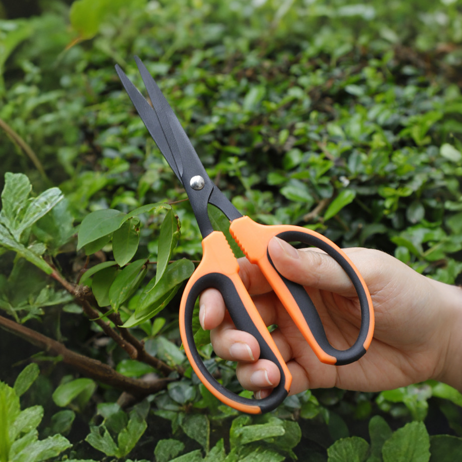 新款黑氧化修枝剪刀不锈钢园艺采摘果葡萄专用园林花艺盆栽修花剪