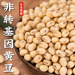非遺伝子組換え大豆新豆メーカー直発小売大豆旧品種土大豆豆腐豆乳代発a