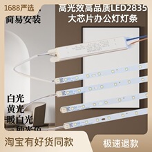 LED高光效卧室客厅厨房长条家用灯芯