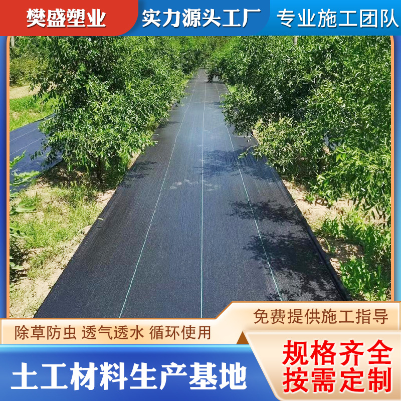 厂家供应黑色pe防草布园林园艺地布批发农用果园菜地编织防草布