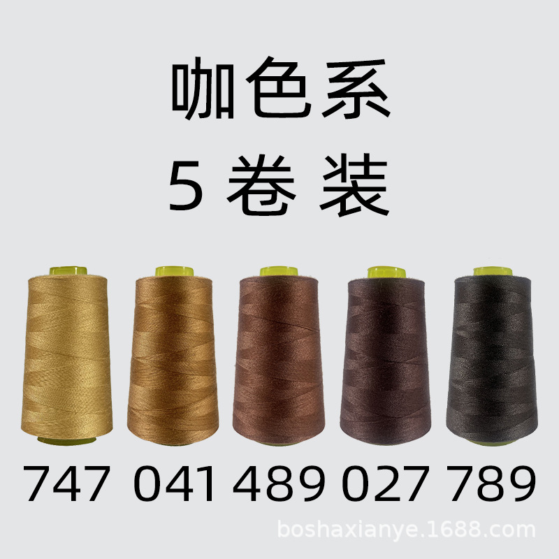 카멜 색상 5롤 세트