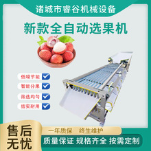新款选果机荔枝分级圣女果分拣机分选筛选机杨梅轨道李子分选机
