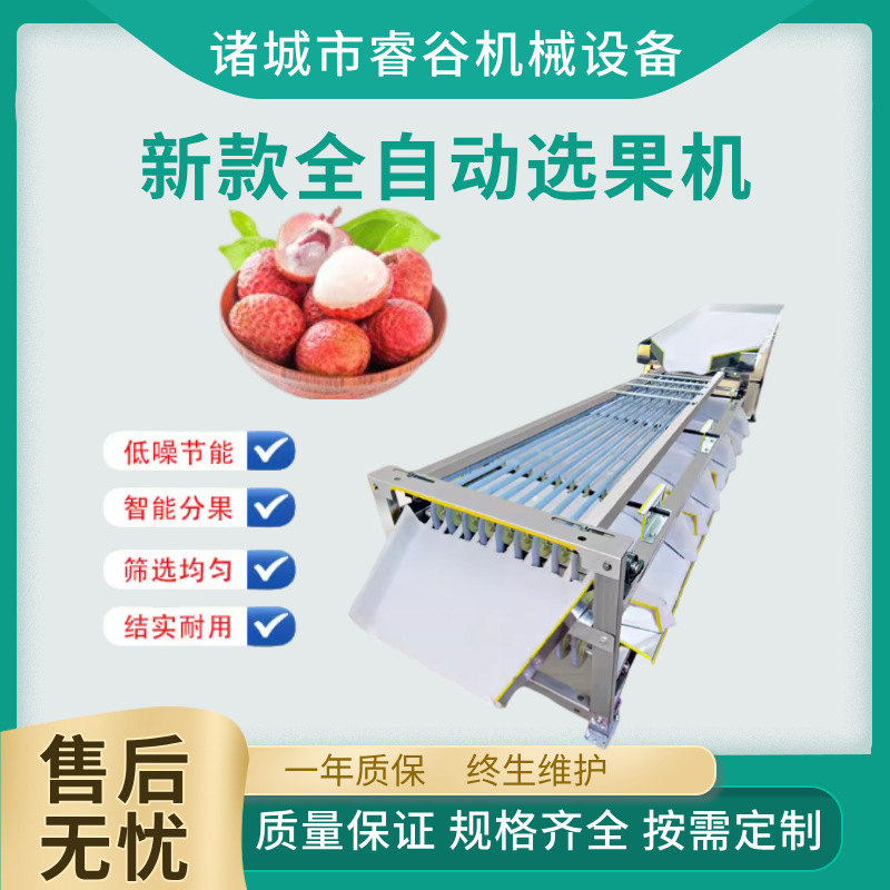 新款选果机荔枝分级圣女果分拣机分选筛选机杨梅轨道李子分选机