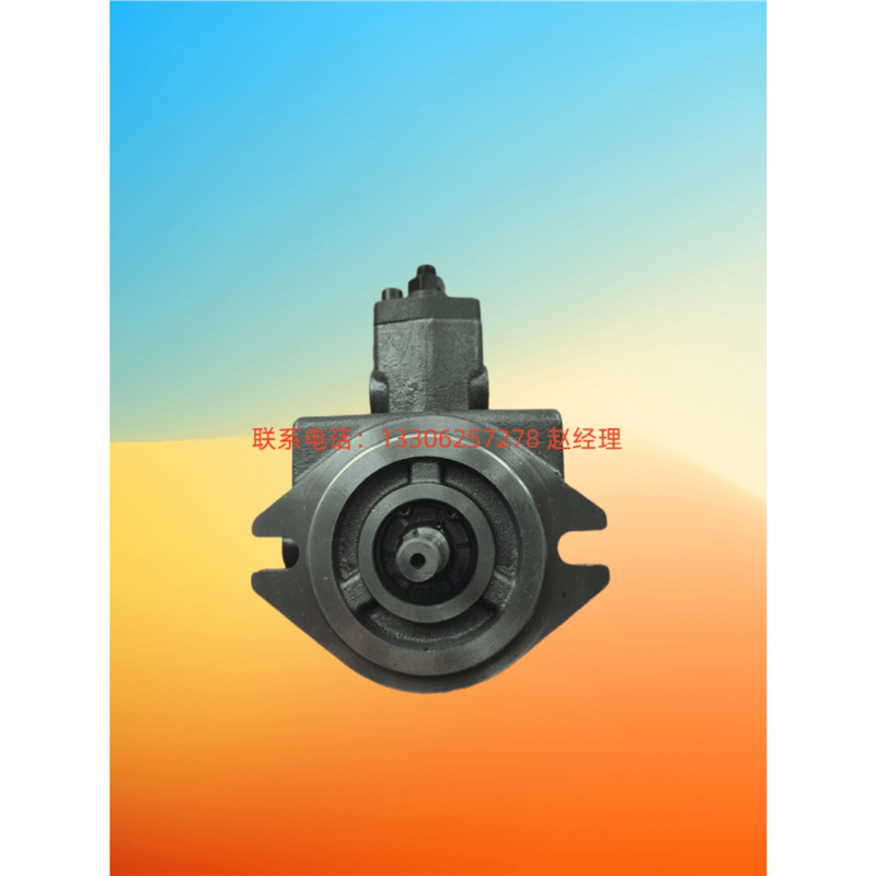 康百世VD1 VE1 VB1 VA1- 30/40/15/12F-A1 A2 A3叶片泵VB1-20FA3