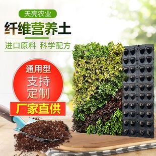 �w�S�I�B���G�������Nֲģ�K�o�¾G���̻��w�S���ЙC������|����