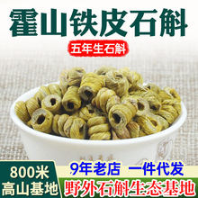 六茗堂 五年生霍山铁皮石斛枫斗 安徽仿野生新鲜铁皮石斛粉干条批