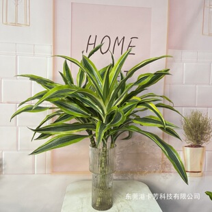 �����F�҃ȾGֲ���Bˮ��͏d�҃����ˑ���ˮ��ֲ���ļ�ˮ�B