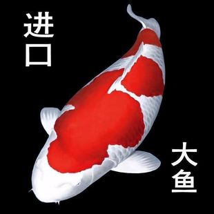 �\���M�ڻ��~�ձ����N�t�װ���ɫ��ˮ�~��ؔ�׌��^�p���~�Ѻ���ˮ