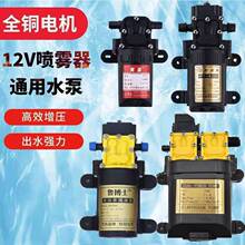 农用电动喷雾器水泵隔膜泵12V高压泵电动水泵微型水泵供应批发