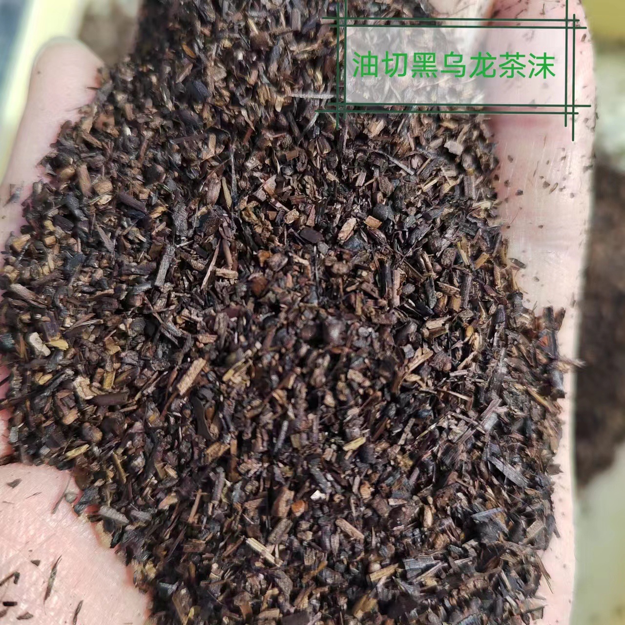 微信图片_20230314093824