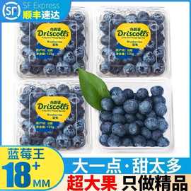 怡颗莓蓝莓现货当季新鲜大果护眼水果北陆中国大陆三级见包装云南