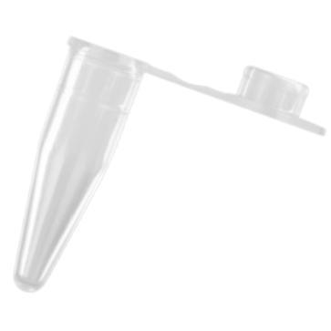 PCR-02-CAxygen爱思进0.2mL聚丙烯薄壁PCR管平盖用于标准96孔模块