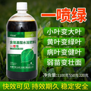Yellow Leaves and Dead Seedlings Are Sprayed with Green Amino Acid Nutrient Solution for Vegetables, Florals and Fruit Trees, Universal Water-Soluble Fertilizer and Foliar Fertilizer