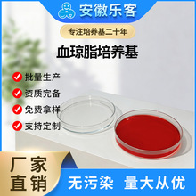90mm血琼脂培养基[BAP]  血平板  羊血琼脂平板微生物培养基无菌