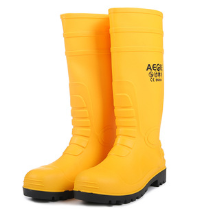 ���(aegle) �����|���oѥ ���ҷ��̴� ���o�  KV20Y 10�p/�� 60