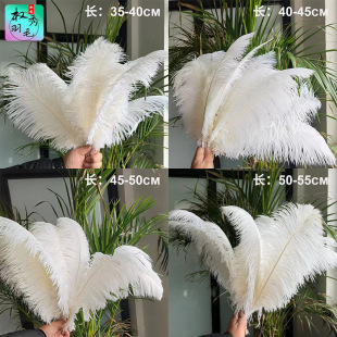 �S��ֱ�N35-55cm�r�Bë��̨�ݳ���ɫ��ë��cDIY�b��r�B��ë���l