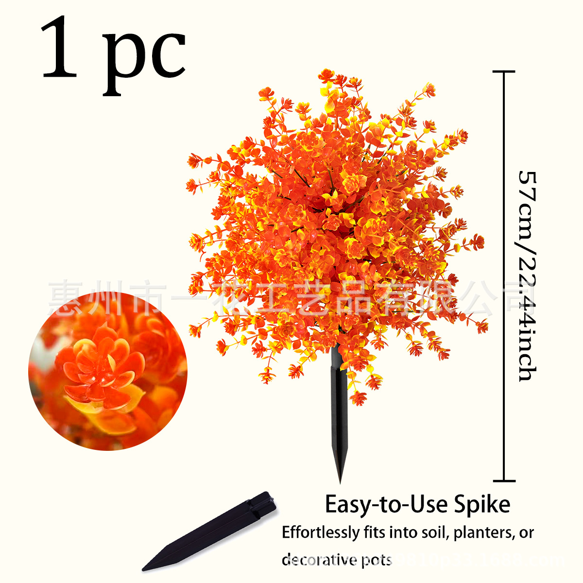 동백꽃밭 - 선셋 레드