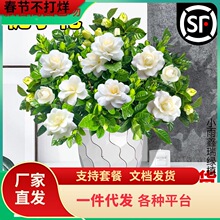 һ�����l�d�ӻ����Ԙ����҃Ⱥ��B�ļ��_��ֲ��͏d�̨���滨�ܾG