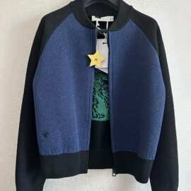 2025中国新年细腻的进口泰迪纱线蓝黑拼色经典小蜜蜂圆领开衫宽松