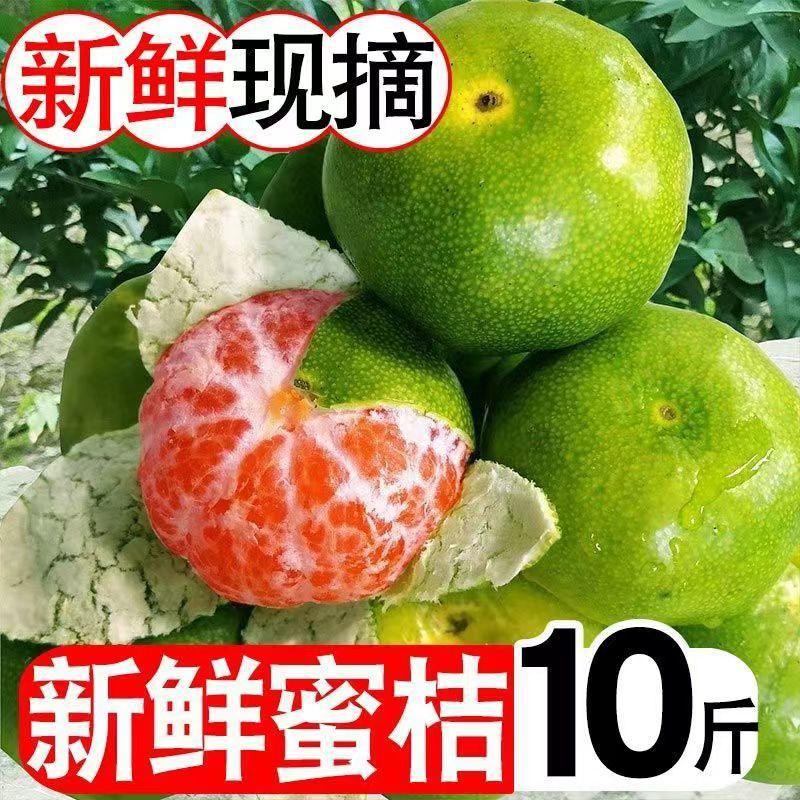 Freshly picked green skin honey orange fresh tangerine Yichang honey orange pregnant woman fruit sweet and sour thin skin citrus early ripe tangerine wholesale