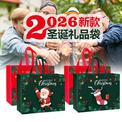 跨境亚马逊现货手提礼品袋支持定制新款万圣圣诞节无纺布袋购物袋