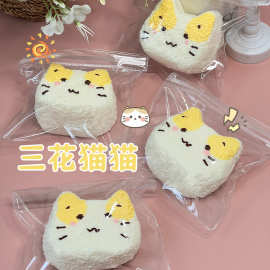 三花猫猫食品级硅胶捏捏仿真可爱猫咪超软慢回弹解压儿童玩具批发