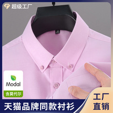 ��ɫĪ������C�r���½����r���̄����e��y�����ڴ����b�ȴ����l