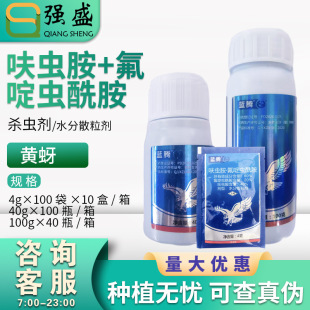 ��Ѹ�{�v60%߻�x��&middot;����x�����O�����S���xā�x���x���rș���l