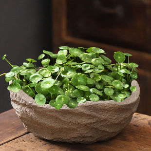 �~�X��ˮ�໨���մ�ˮ�ɻ�ˮ�B��ʯ�^����ɏ���Â��ԟo�ׄ��⮐��