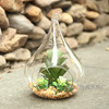 Creative brand transparent glossy realistic jewelry, set for gazebo, decorations, layout, micro landscape