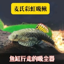 �^�p�~�������q�����q�����~��ˮ��ˮ����ױ�������坍�~�����~