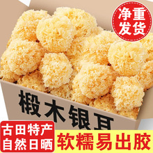 【净重发货】椴木小银耳干货无干燥剂古田白木耳软糯银耳小朵银耳