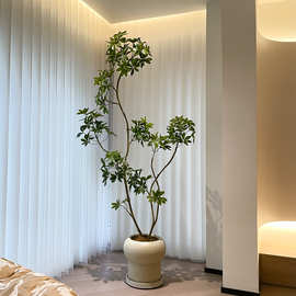 鸭脚木绿植轻奢室内客厅仿生大型盆栽落地假植物