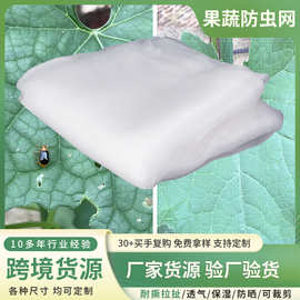 跨境全新料PE加厚60目耐老化果树蔬菜大棚白色防蚊防蝇防鸟防虫网