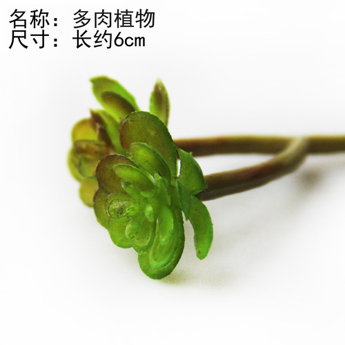 Small space, big world, small green plants, artificial plants, micro-landscape plastic flowers and artificial grass, succulent background plants