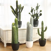 شͷ辰ٻWinsҾbƷԔ[