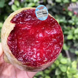���س�������������� �޽����Ә��� �������ӵ��������浰������