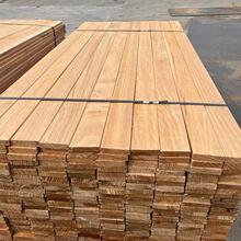 }ľذ̨ͥԺ¶̨@ľľl