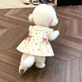 宠物狗狗马尔济斯春夏季飞袖彩色波点连衣裙薄款可爱猫猫公主裙子
