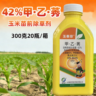 42%����ݬȥ��ײݰ��Ҳݰ�������ǰ���ݰ޲��R��������ǰ���݄�