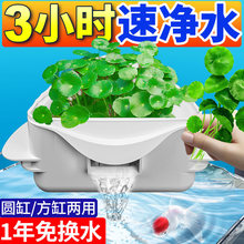 �A���~���^�V��ѭ�h��ˮ����һ���õ������^�Vϵ�y����һ�w�^�V��