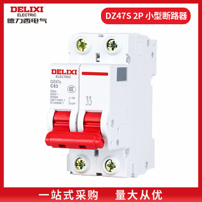 德力西电气dz47s 空气开关2p家用总电闸2p220V 小型断路器32A63A