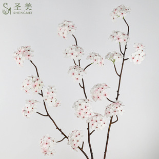 ���滨�滨�ѻ�֦�һ�֦�U��廨�Gֲ�ٻ��b[��������������