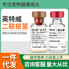 �M��Ӣ����Ȯ��������Ȯ��Ȯ����С���A������猙�����猙����