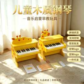 跨境儿童木质电子琴25键迷人小钢琴玩具早教音乐乐器3-8岁生日礼