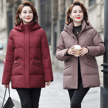 Ʒ�Ƹ߶���������qŮʿ��ů���׿����Bñ�ٴ����L�������b��q��