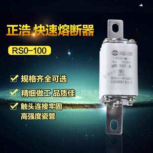 ����RS0-100A 500V���������� �۔��� �۔��w ��о ���U�z