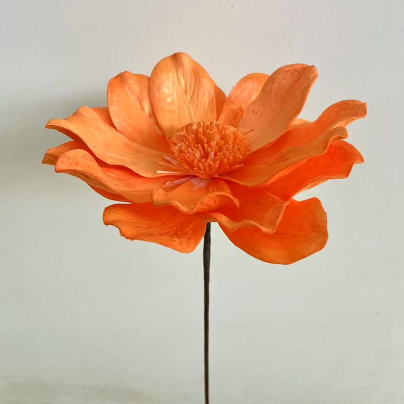 Lirio de hierba naranja de 15 - 16 cm de diámetro y 60 cm de largo